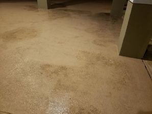 Before and After Carpet Cleaning